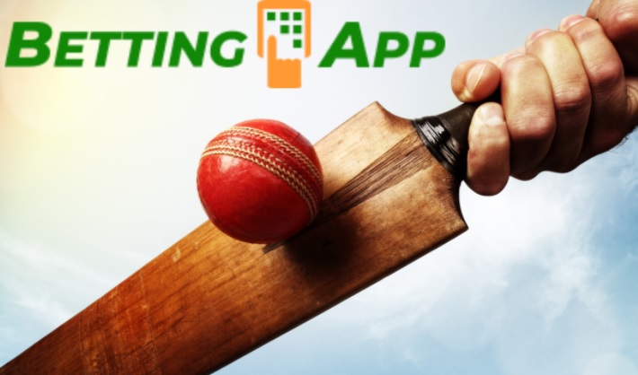 Best IPL Betting App wolf777 – understand everything before you start